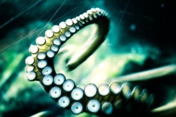 Kraken рабочее зеркало onion
