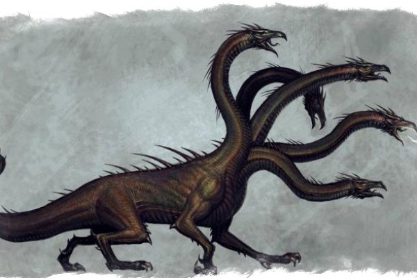Kraken 11at