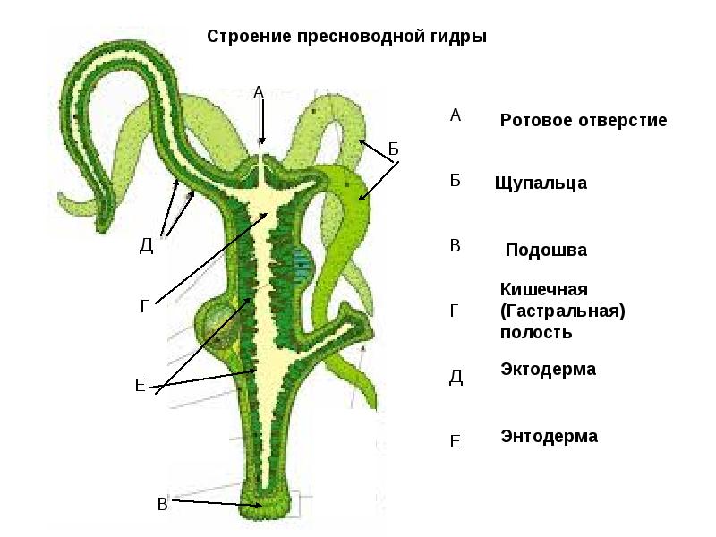 Kraken магазин интернет